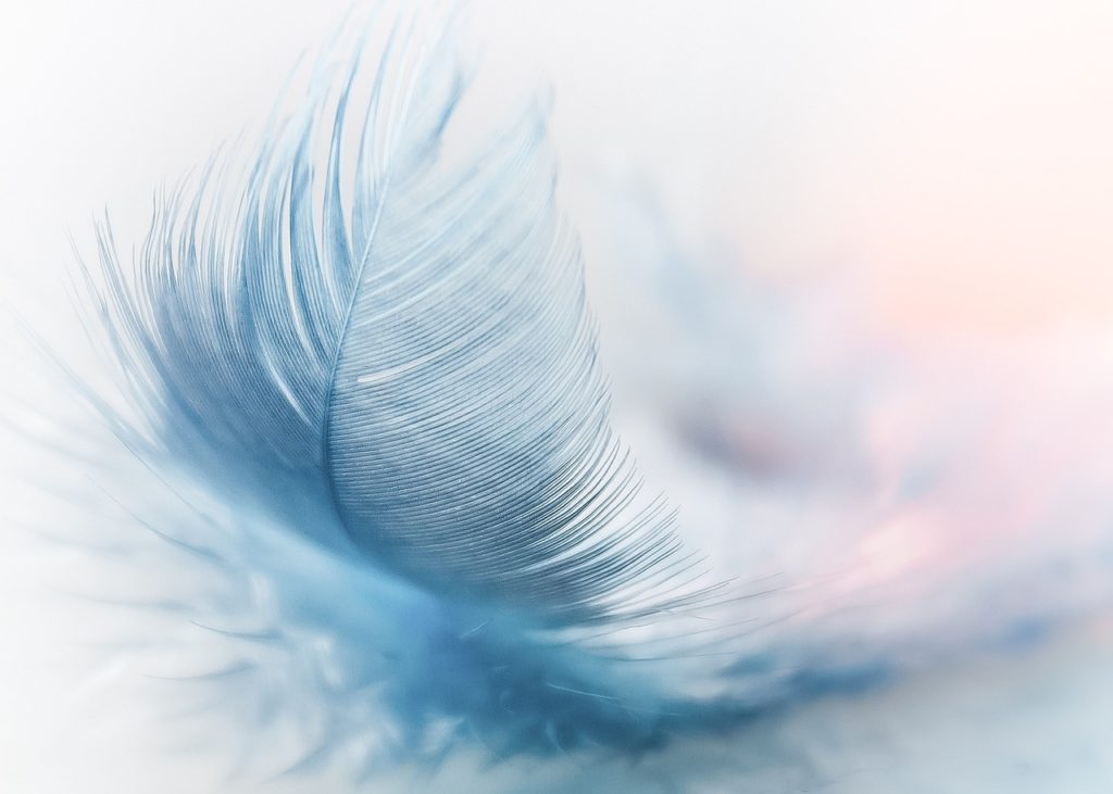 feather, nature background, ease-3010848.jpg